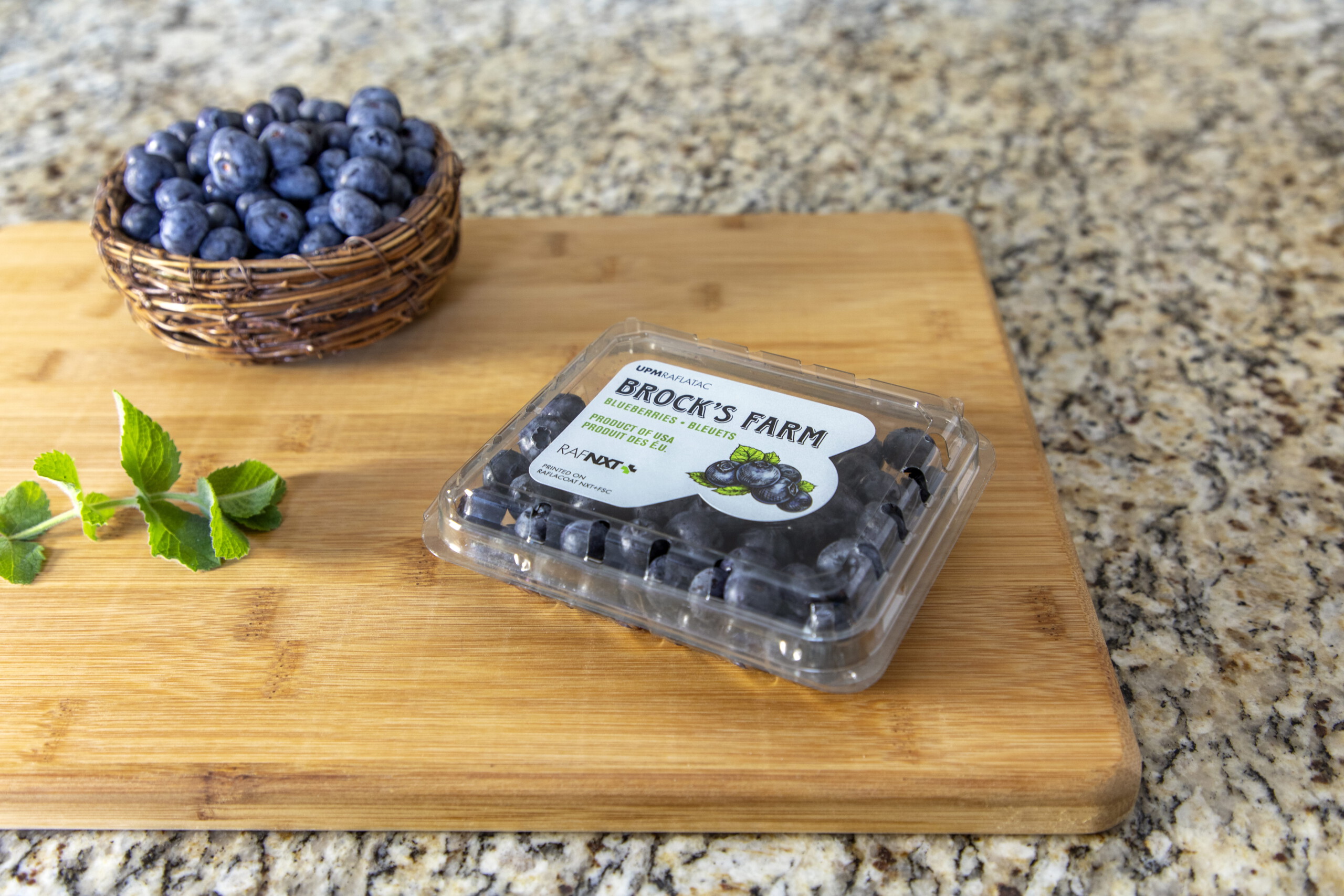 森优+系列产品简介